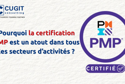 PMP et secteur d'activité