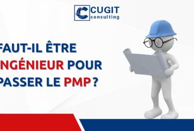 PMP et secteur d'activité