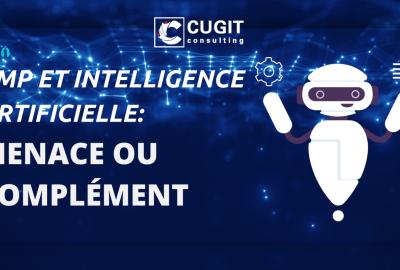 PMP ou Intelligence Artificielle 